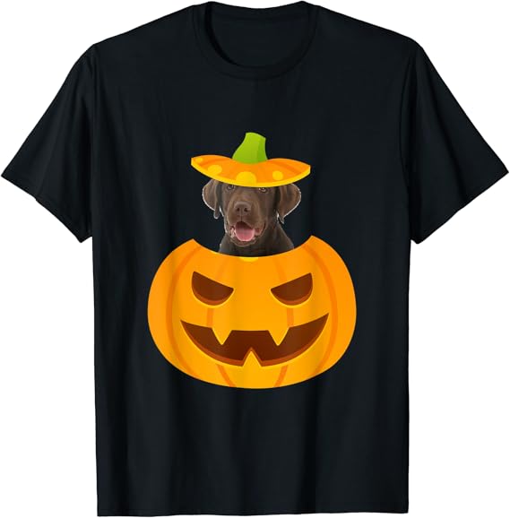 Chocolate Lab Peeking out of JackoLantern TShirt Amazon.co.uk Fashion